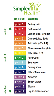 pH values chart
