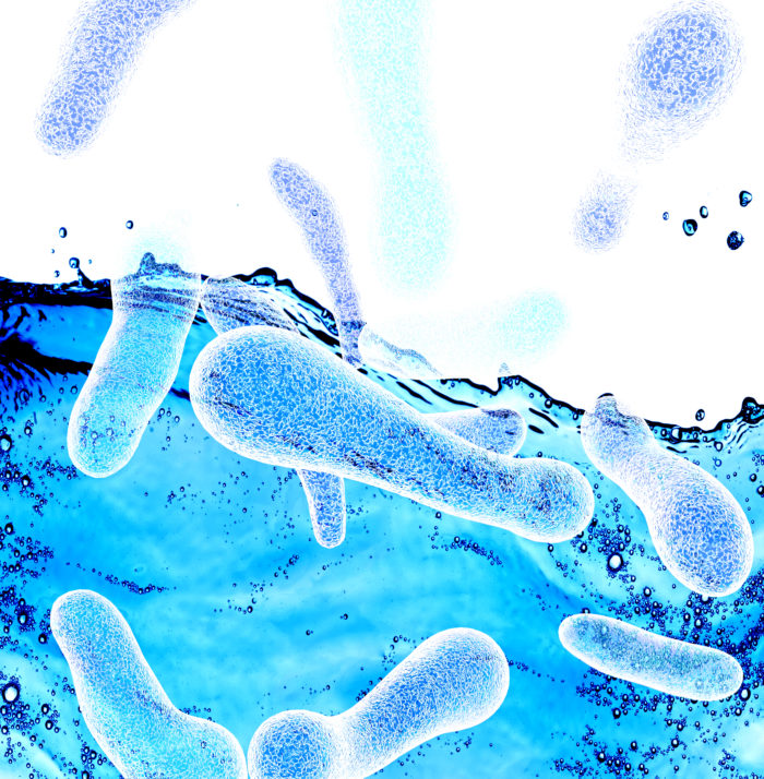 Legionella Water Testing