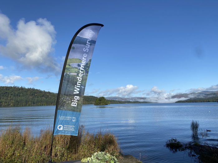 the big windermere survey