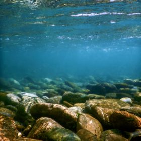river testing