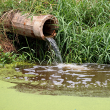 Sewage Water Test