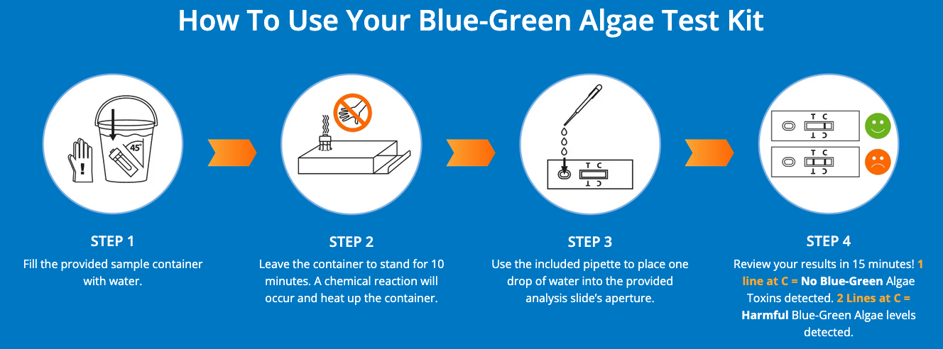 BlueGreen Test
