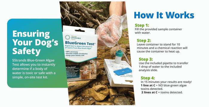 Blue Green Algae test