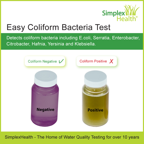 Bacteria Testing