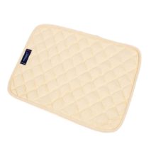 Norstar BioMagnetics Pillow Pad